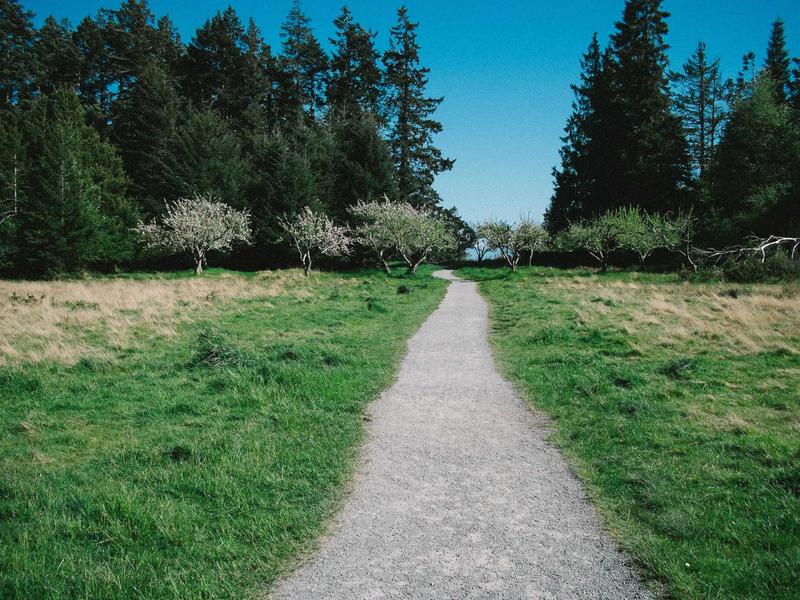 宠物殡葬师<br>sybmuzg.cn 毛孩子告别